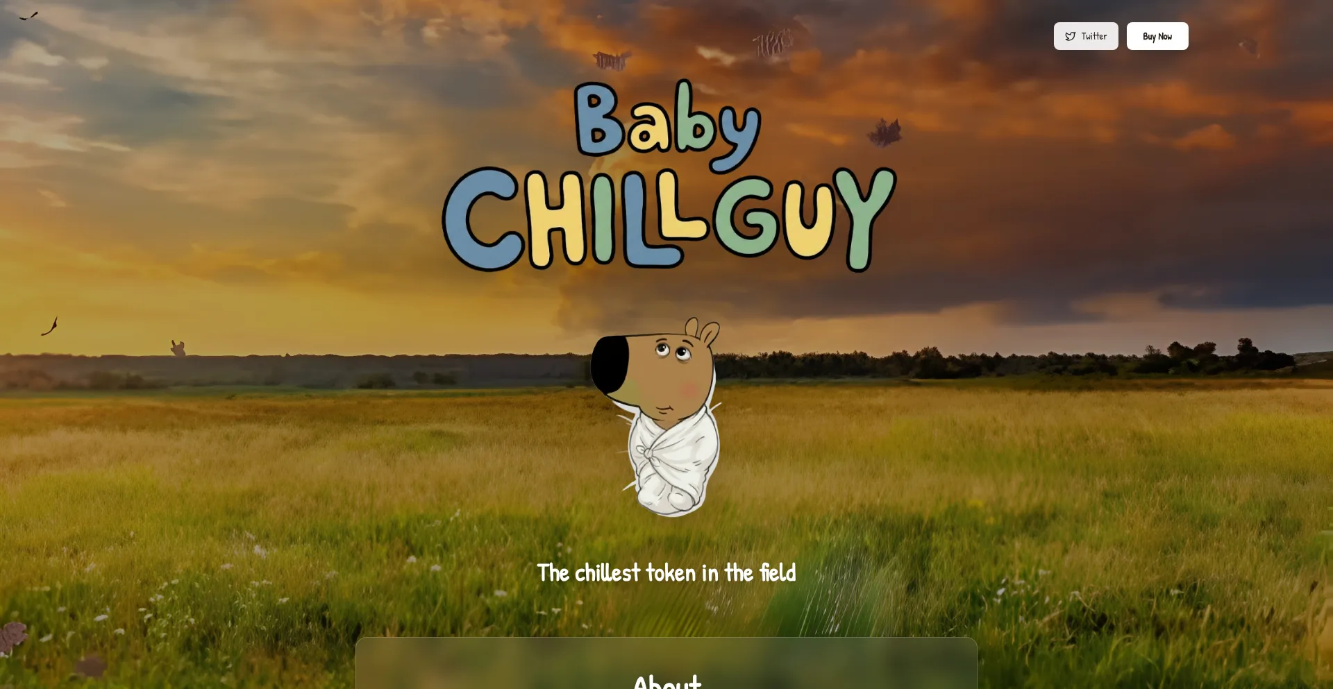 Babychillguy.fun