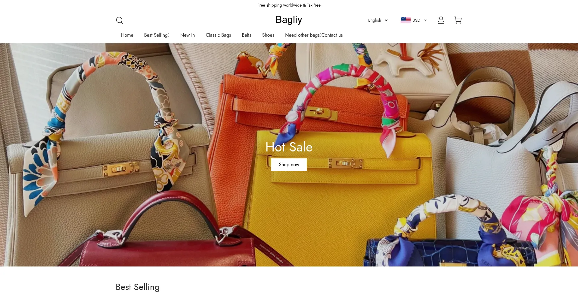 Bagliy.com