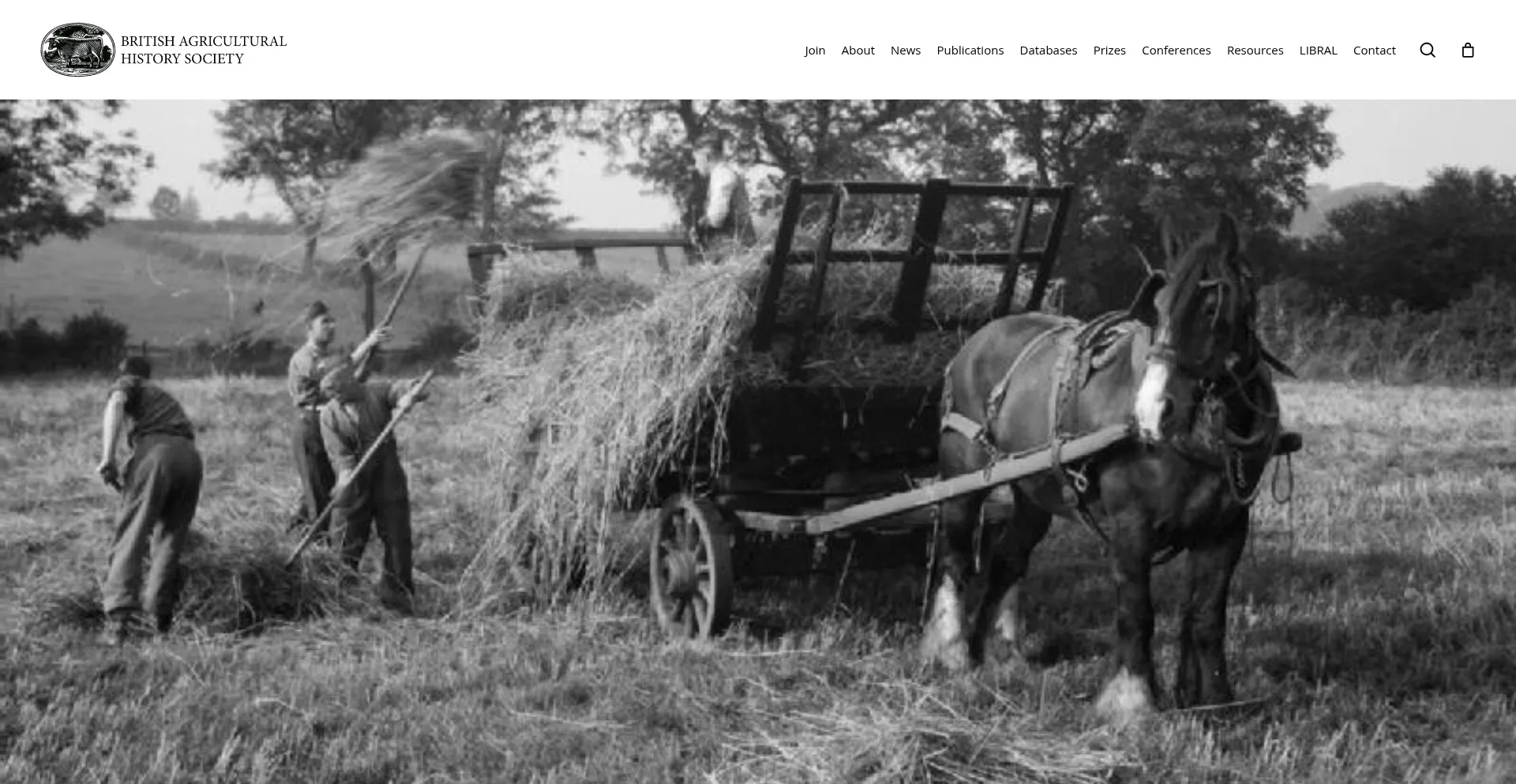 Bahs.org.uk