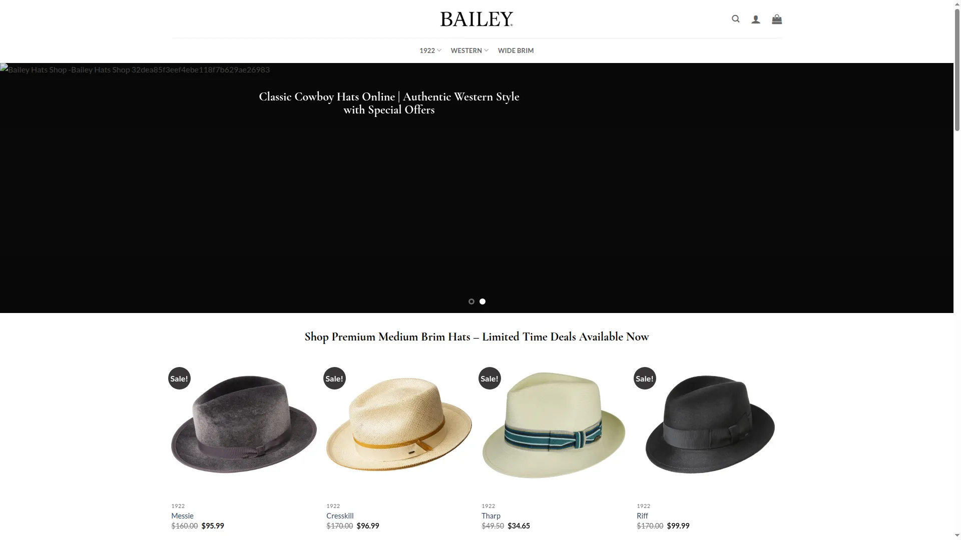Baileyhatstore.com