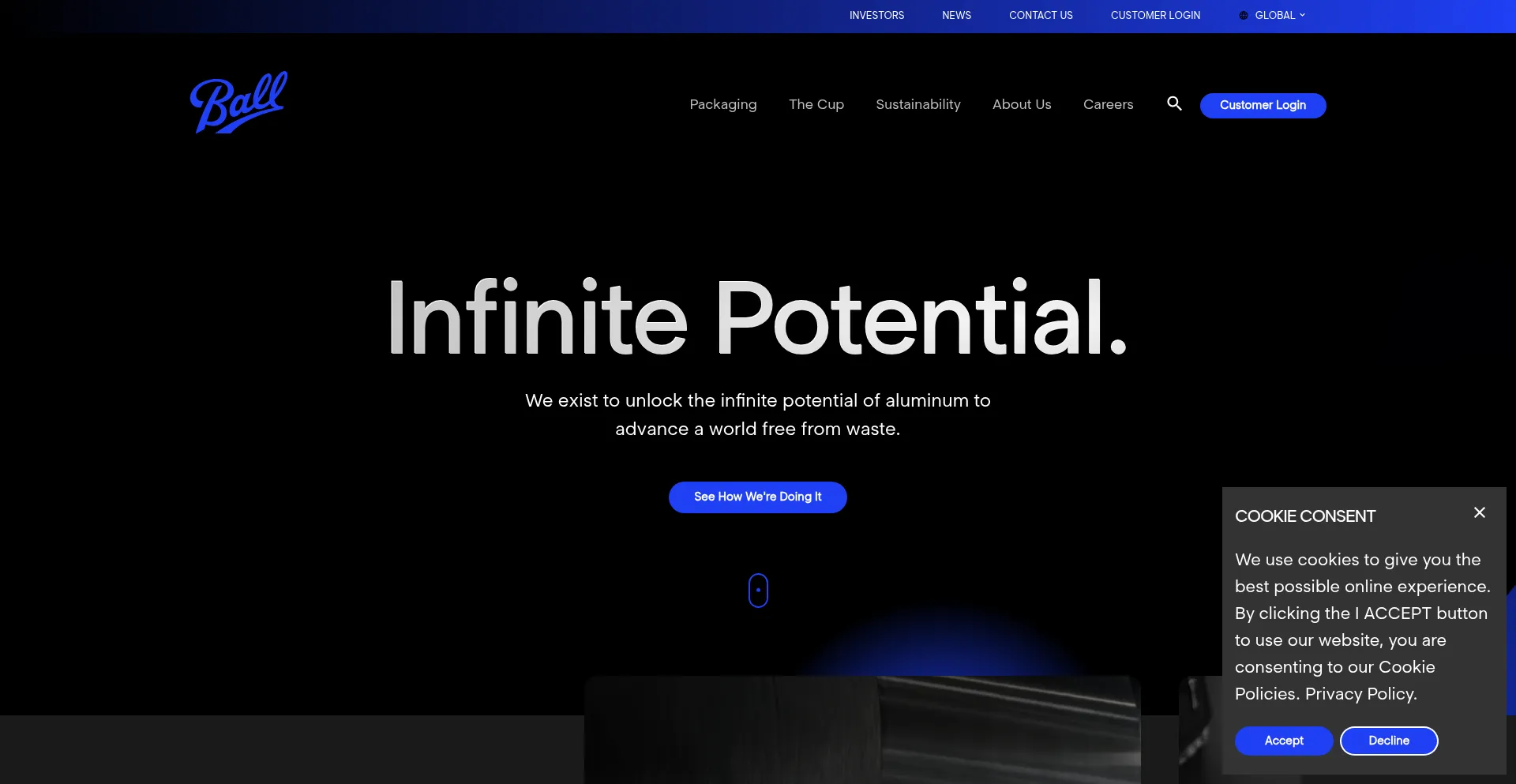 Ball.com Screenshot