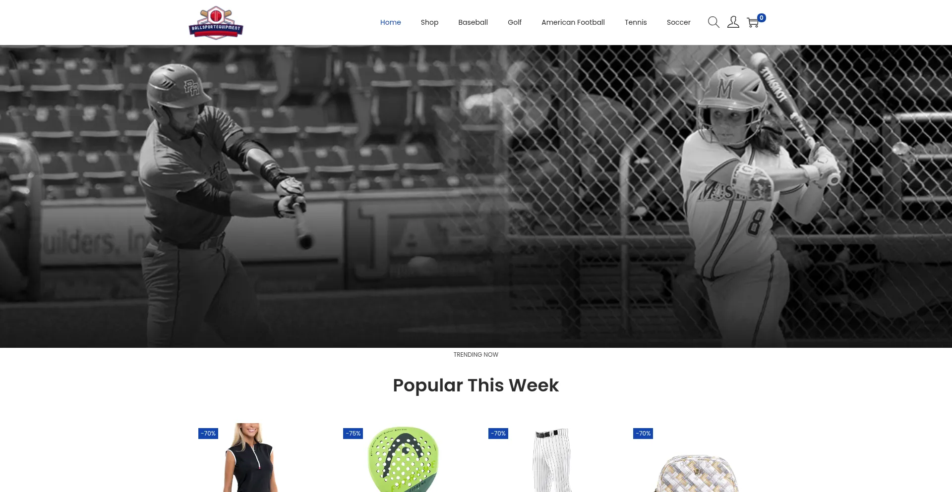 Website screenshot of Ballsportequipment.com
