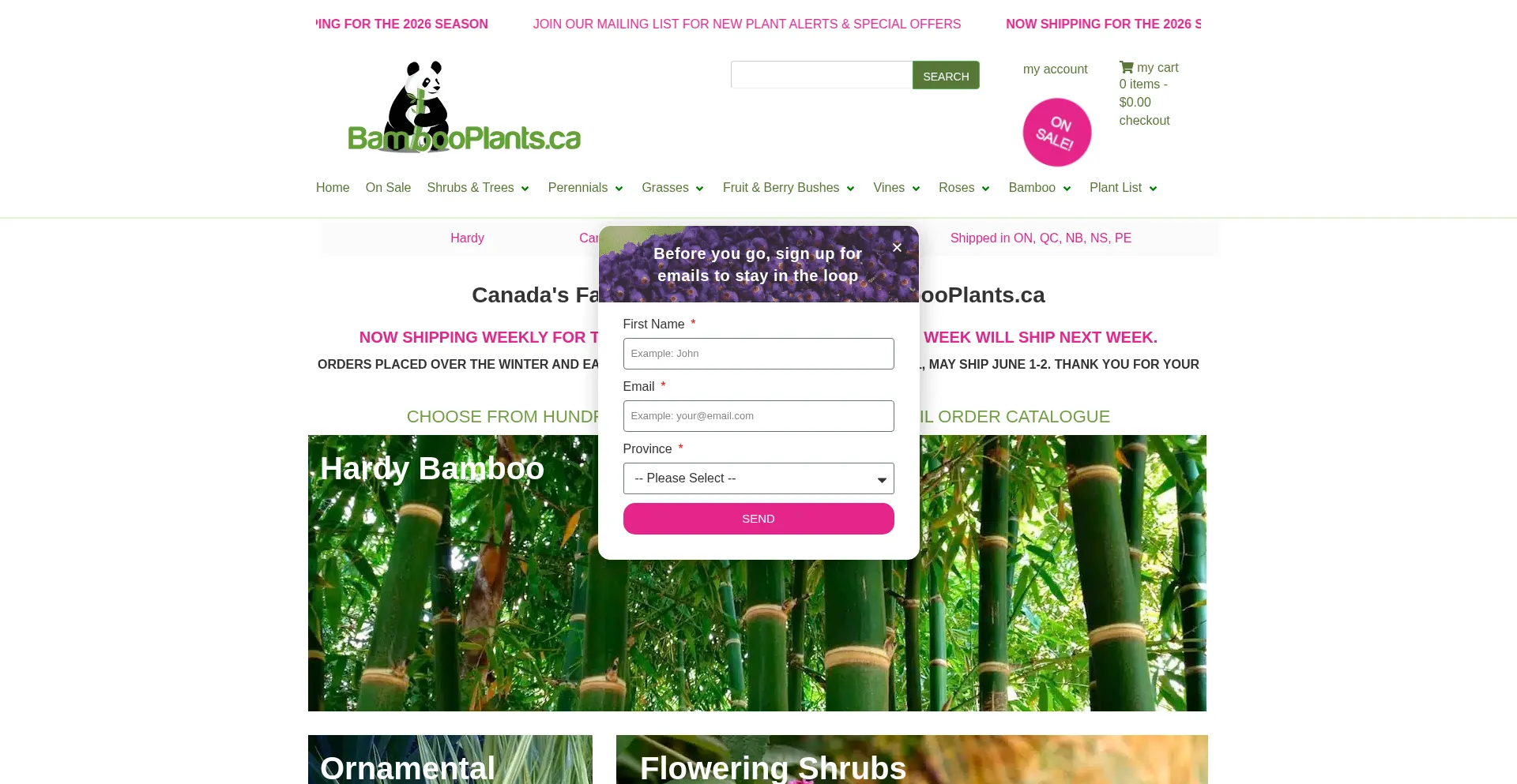 Bambooplants.ca