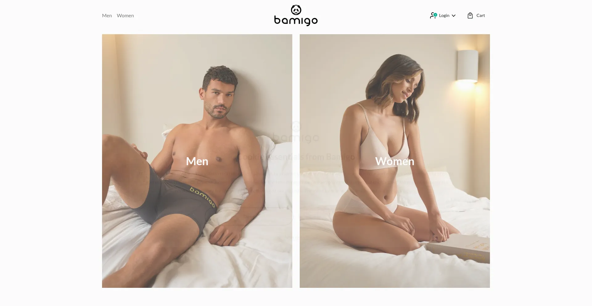 Website screenshot of Bamigo.nl