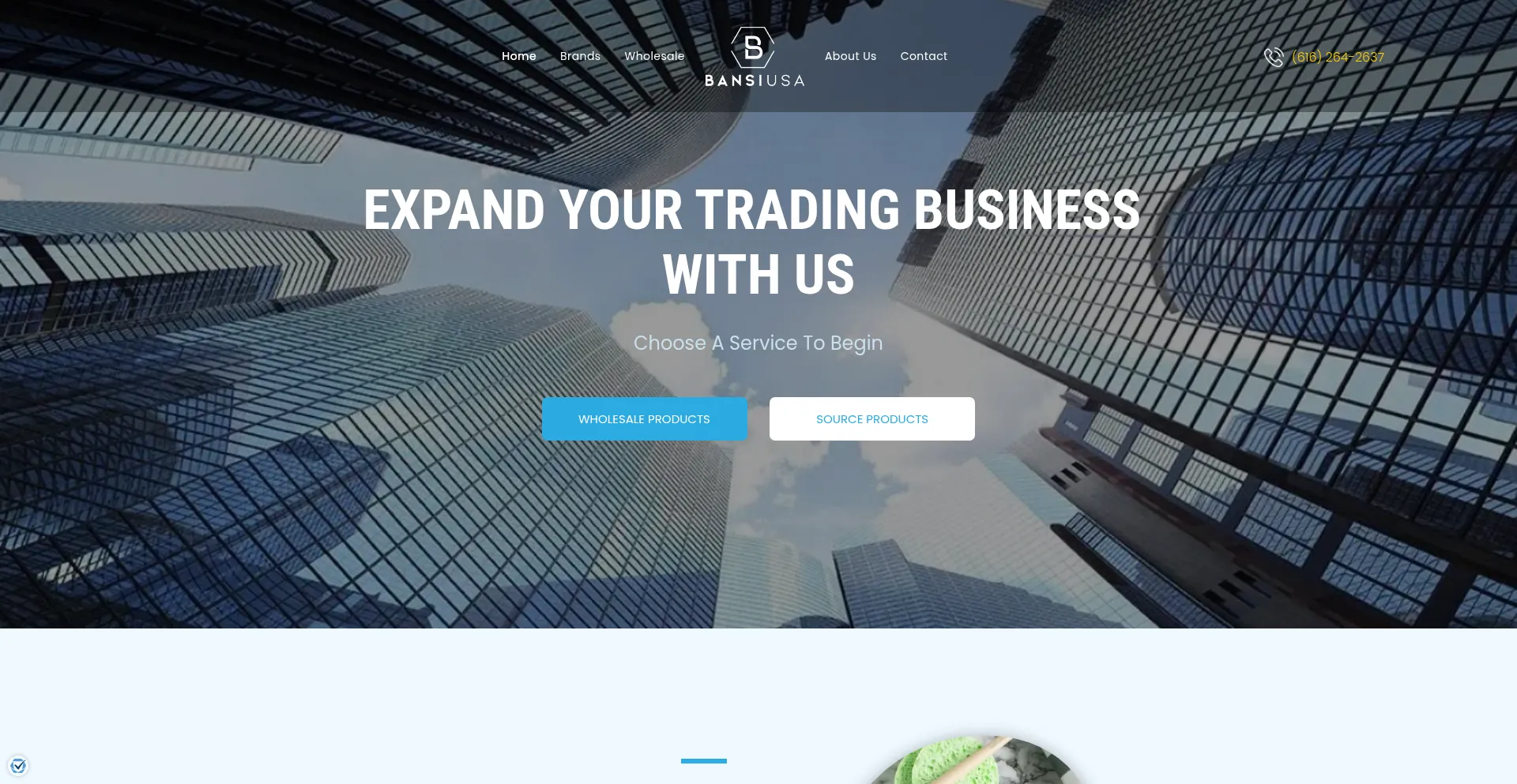 Bansiusa.com Screenshot