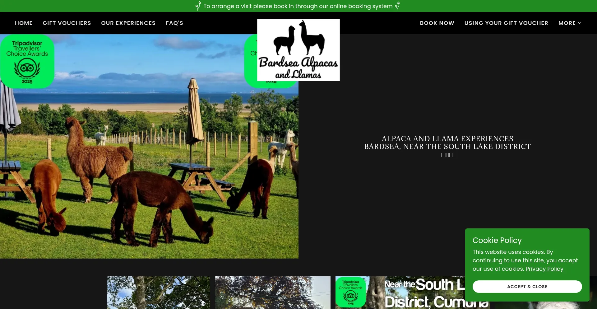 Bardsea-alpacas.co.uk est-il Sûr et Fiable ?