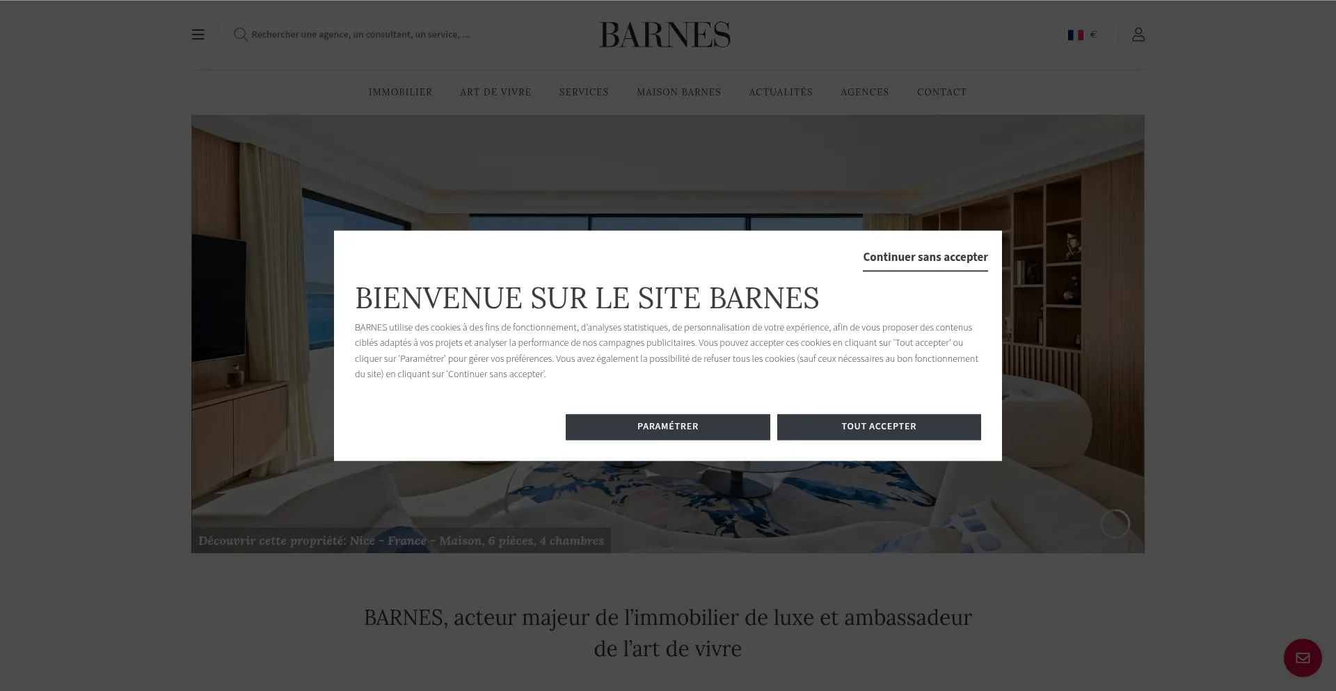 Website screenshot of Barnes-international.com