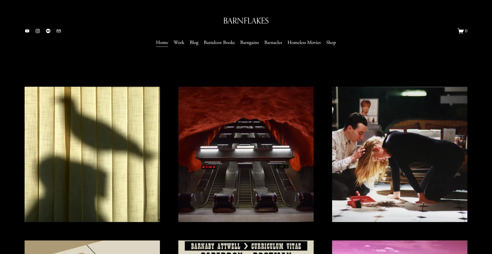 Website screenshot of Barnflakes.com
