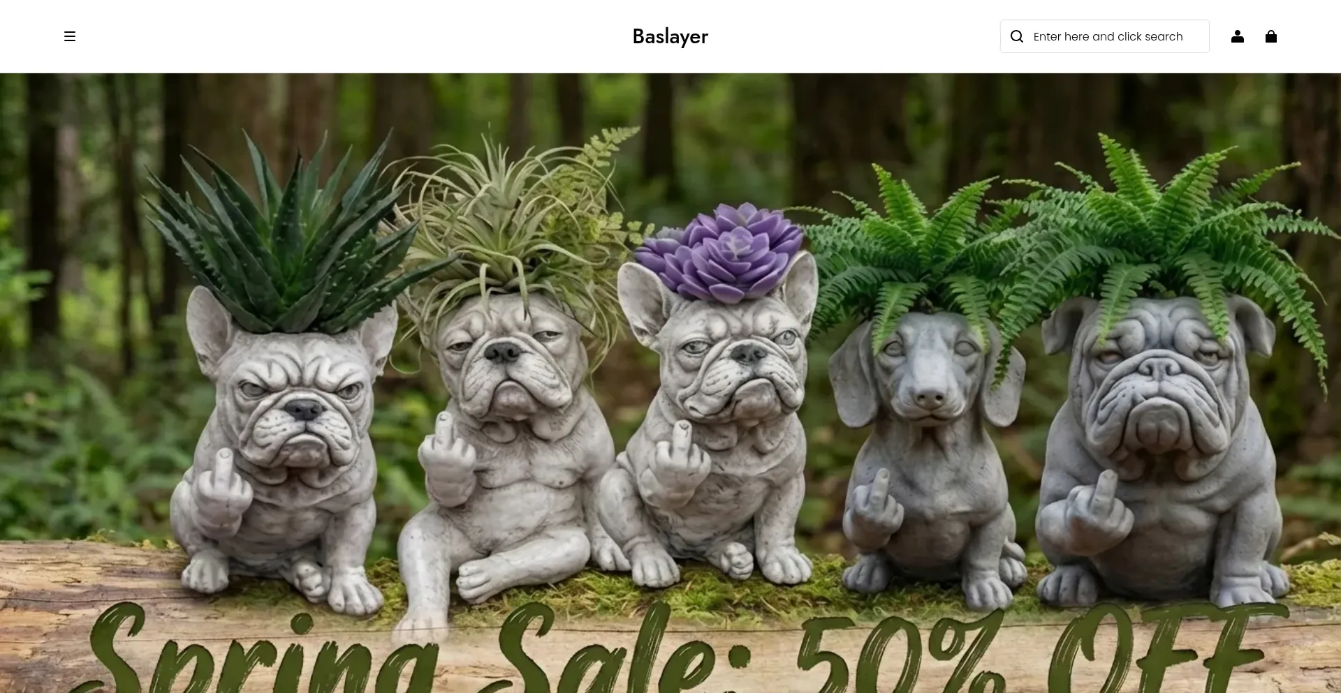 Baslayer.com