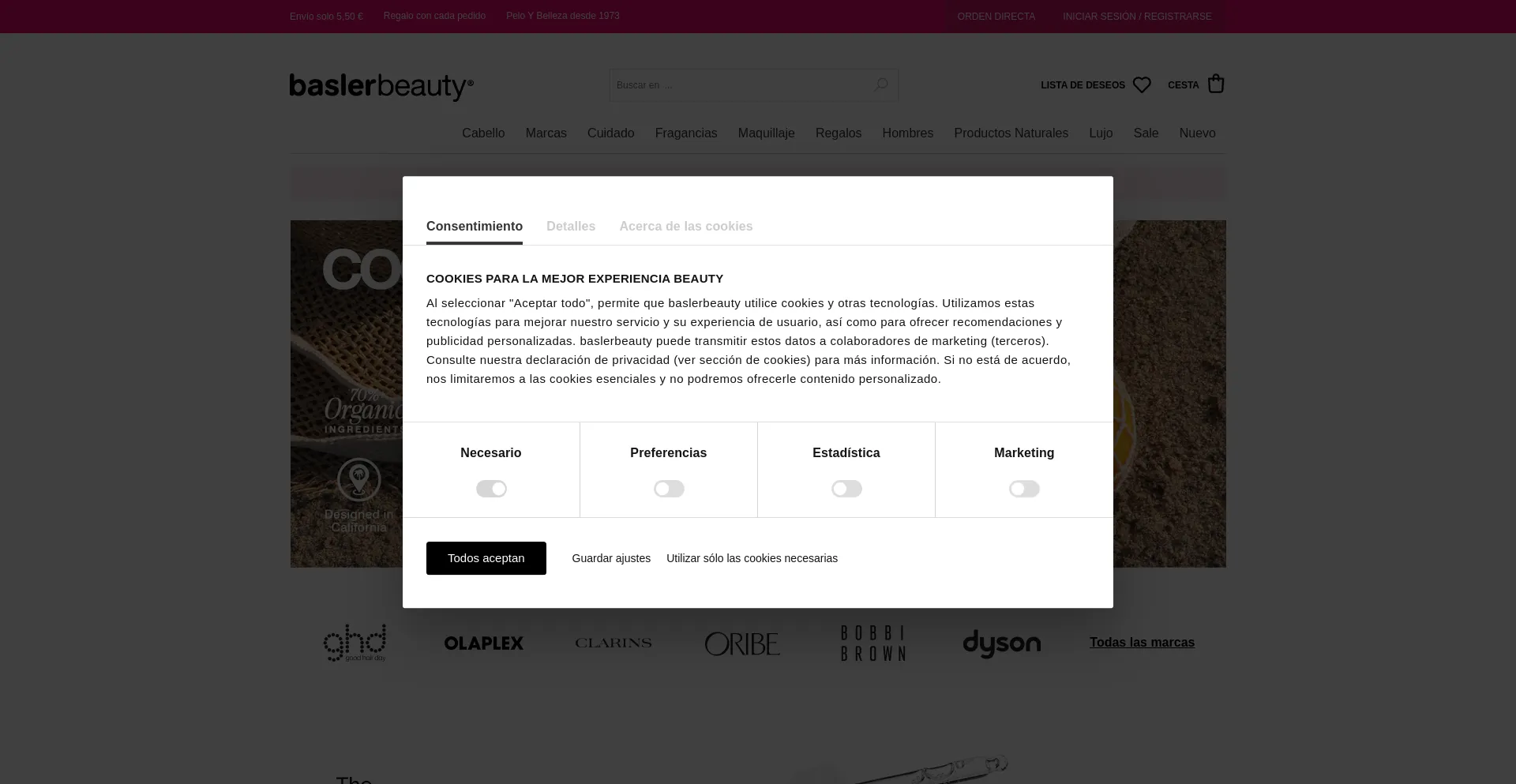 Website screenshot of Basler-beauty.es