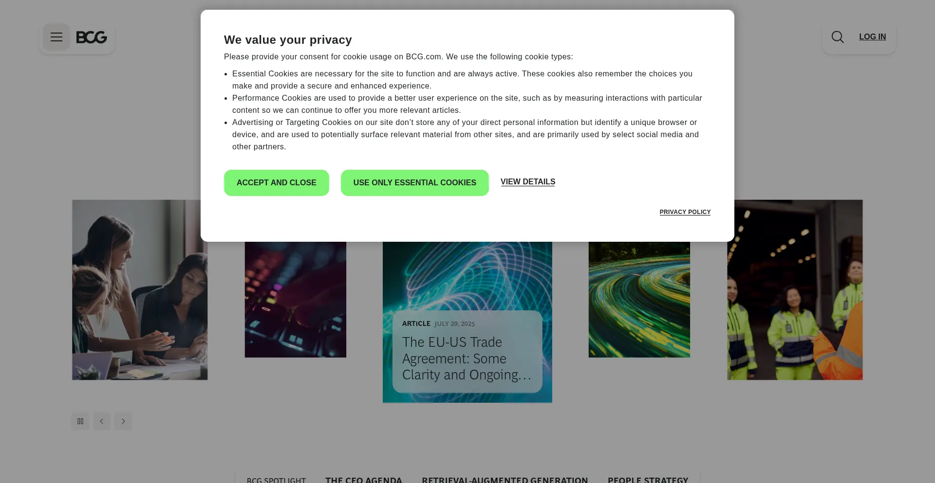 Website screenshot of Bcg.com