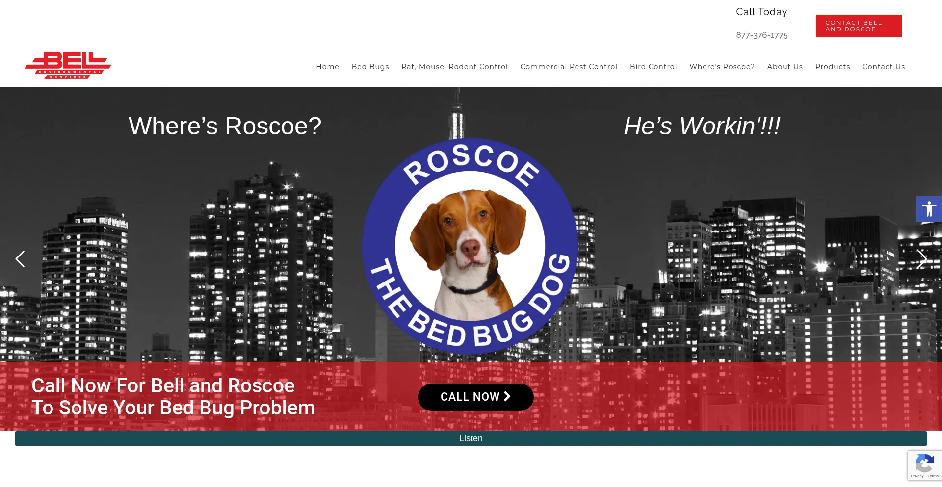 Bell-environmental.com