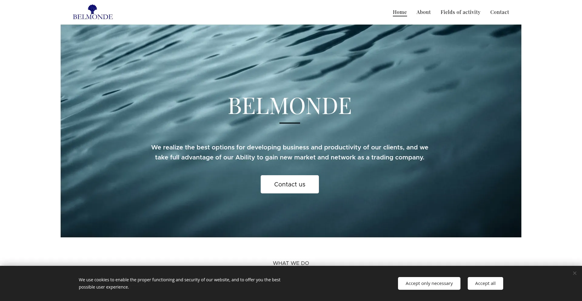 Website screenshot of Belmonde.be