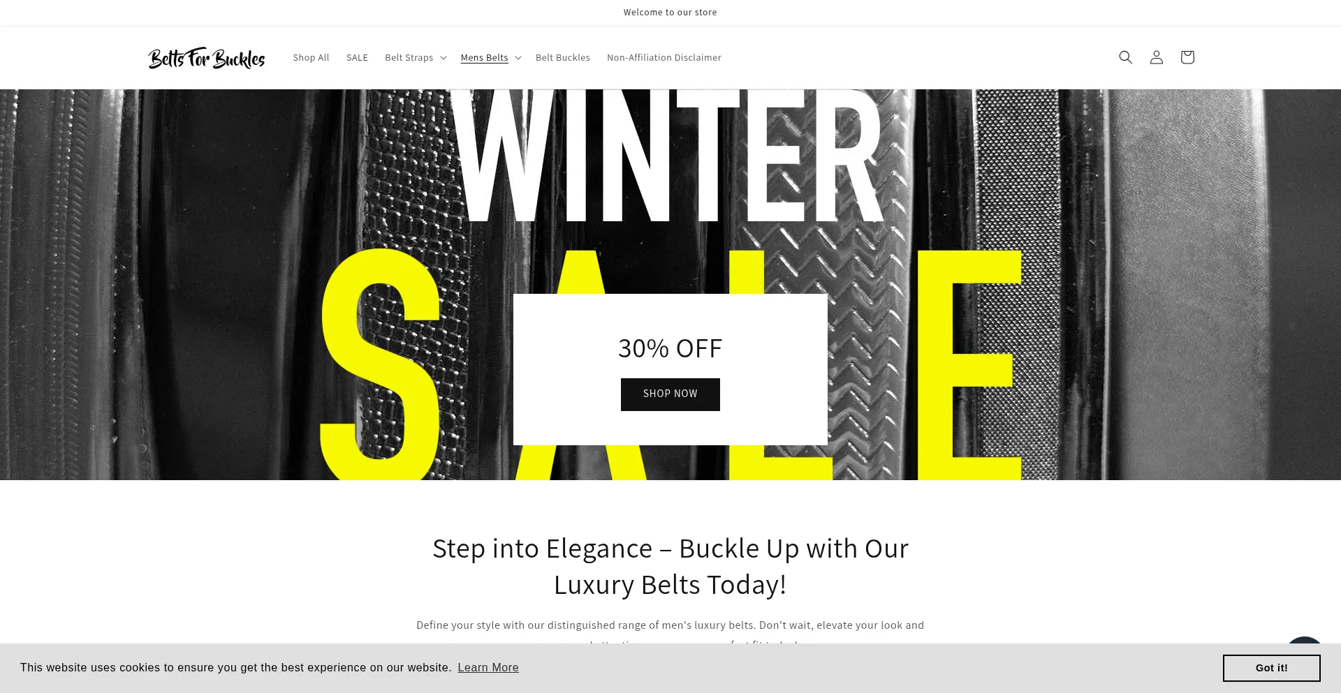 Website screenshot of Beltsforbuckles.com