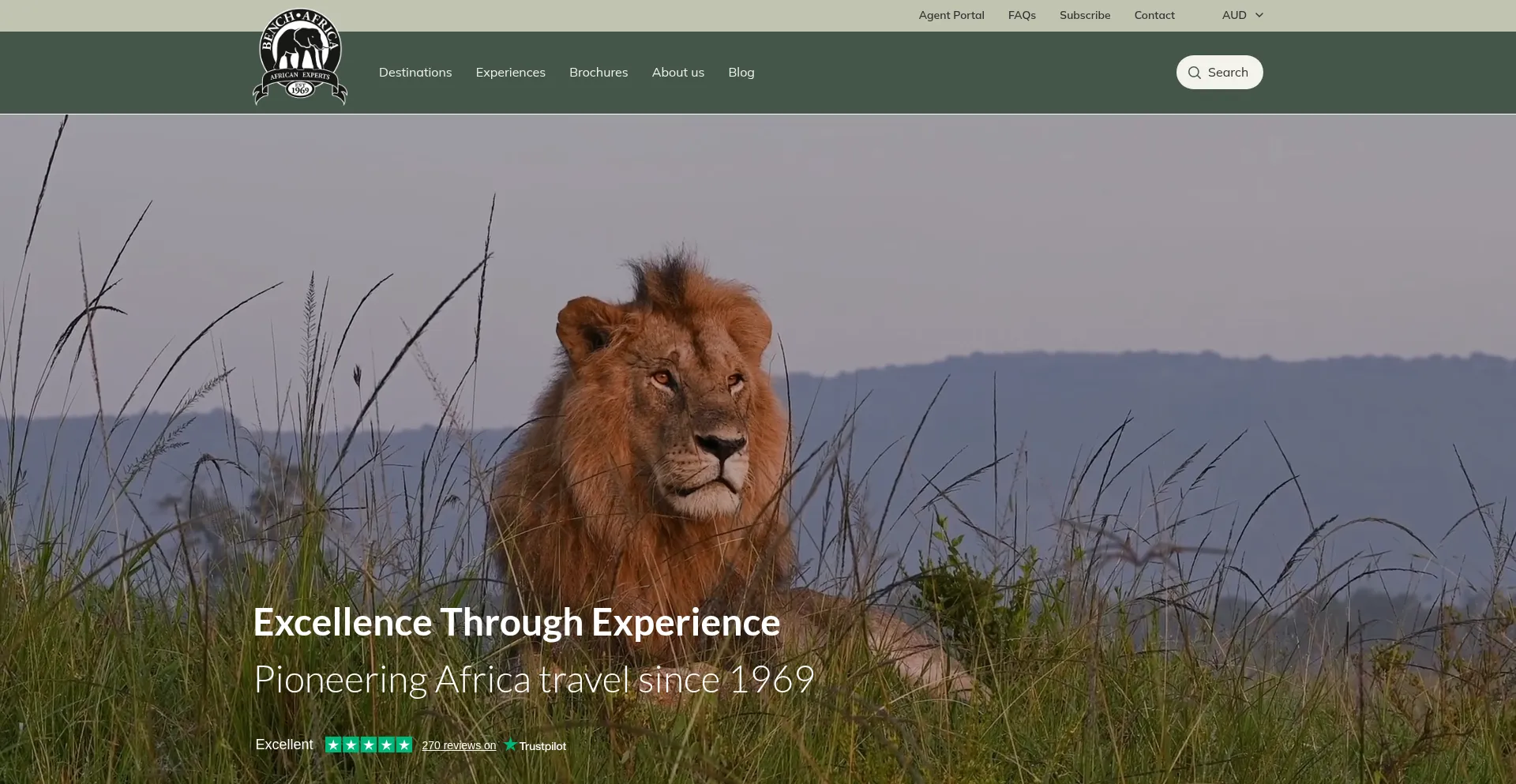 Benchafrica.com
