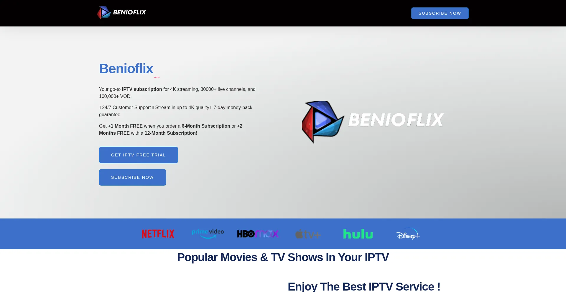 Website screenshot of Benioflix.org