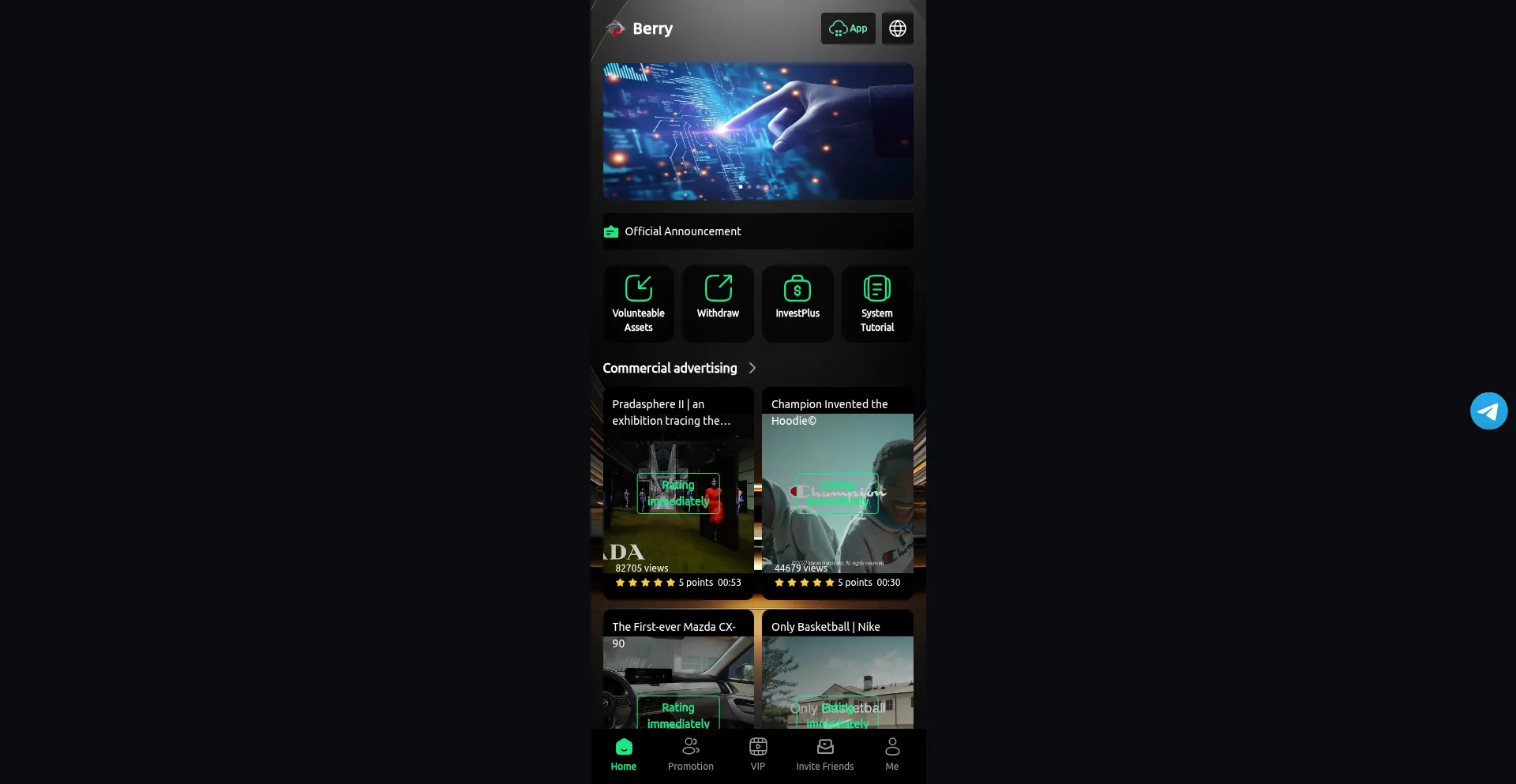 Website screenshot of Berry9.vip