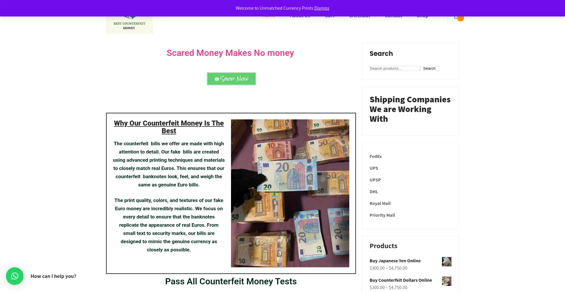 Website screenshot of Bestcounterfeitmoney.com