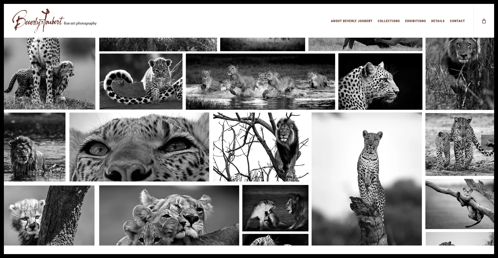 Beverlyjoubert.com