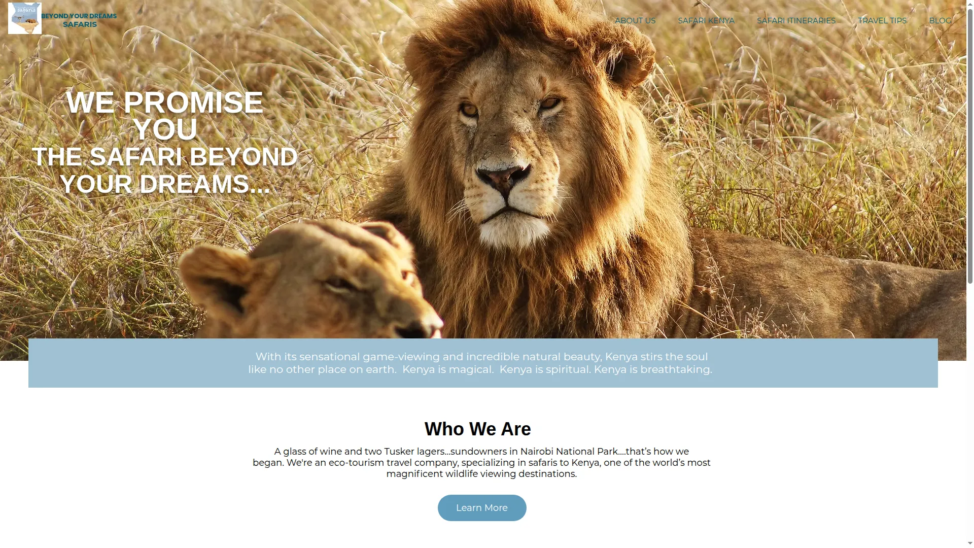 Beyondyourdreamssafaris.com