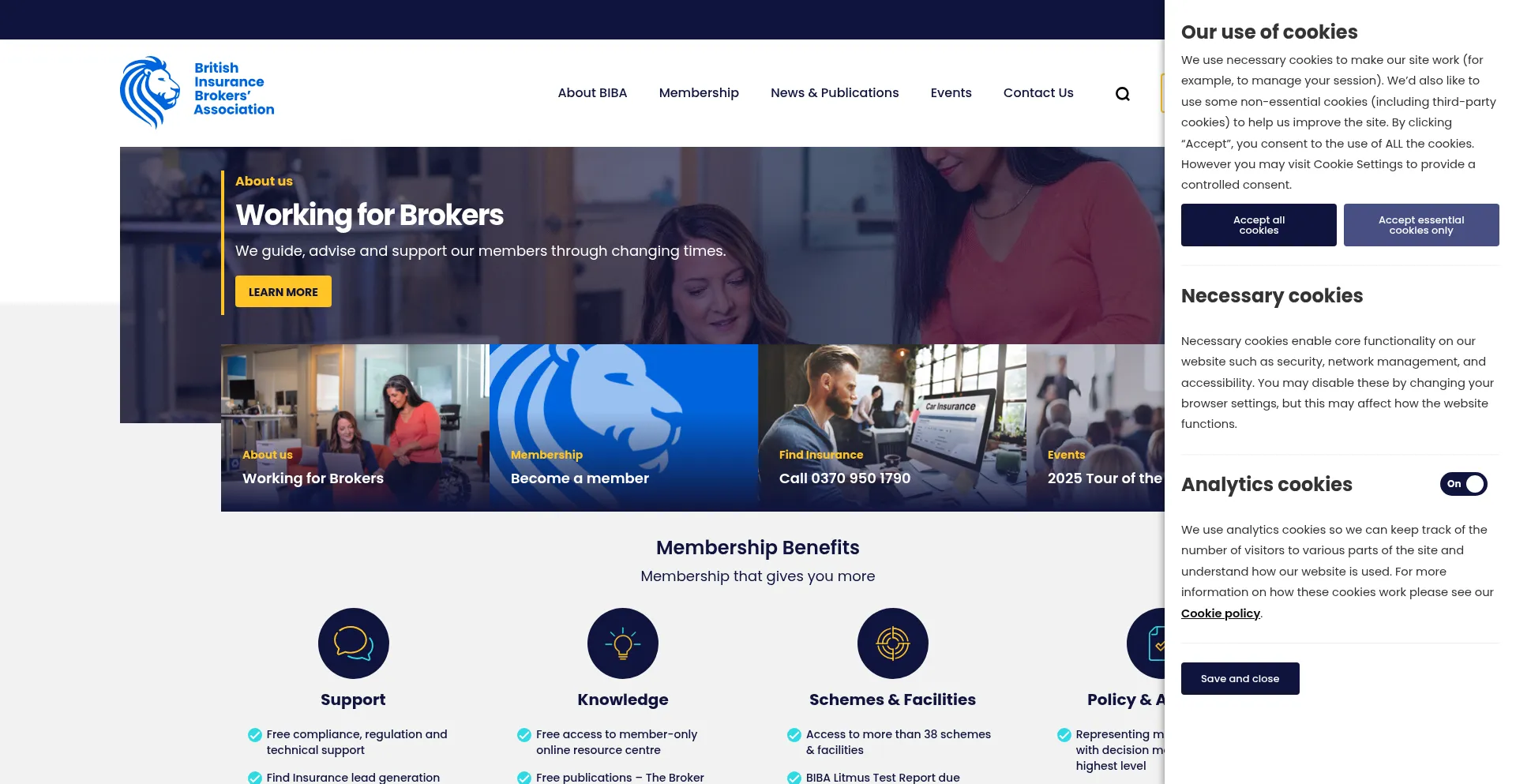 Website screenshot of Biba.org.uk