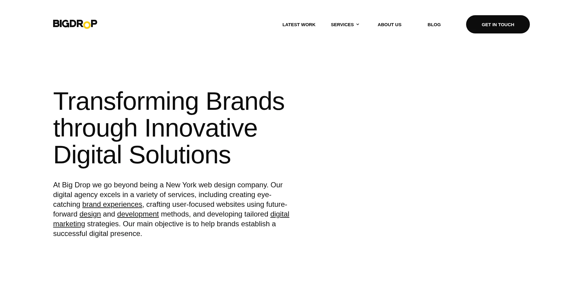 Website screenshot of Bigdropinc.com