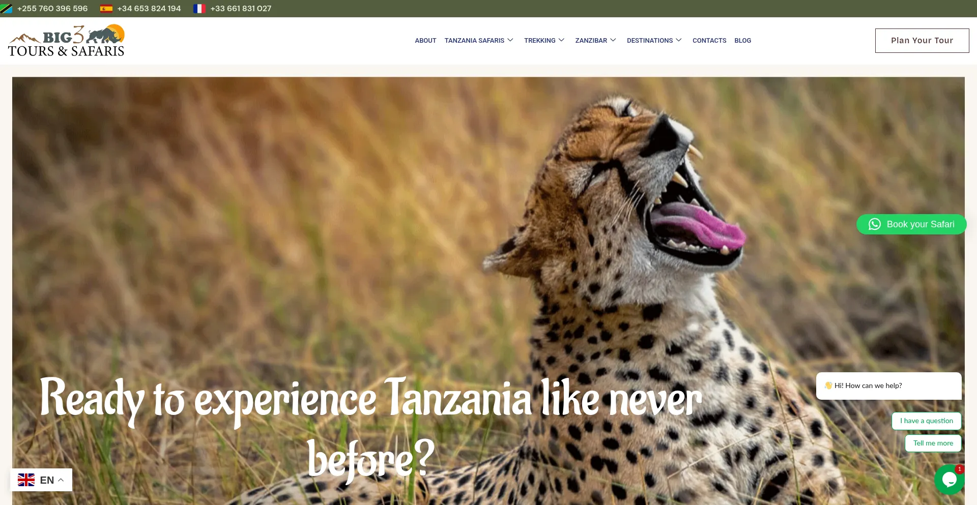 Bigthreetoursandsafaris.com