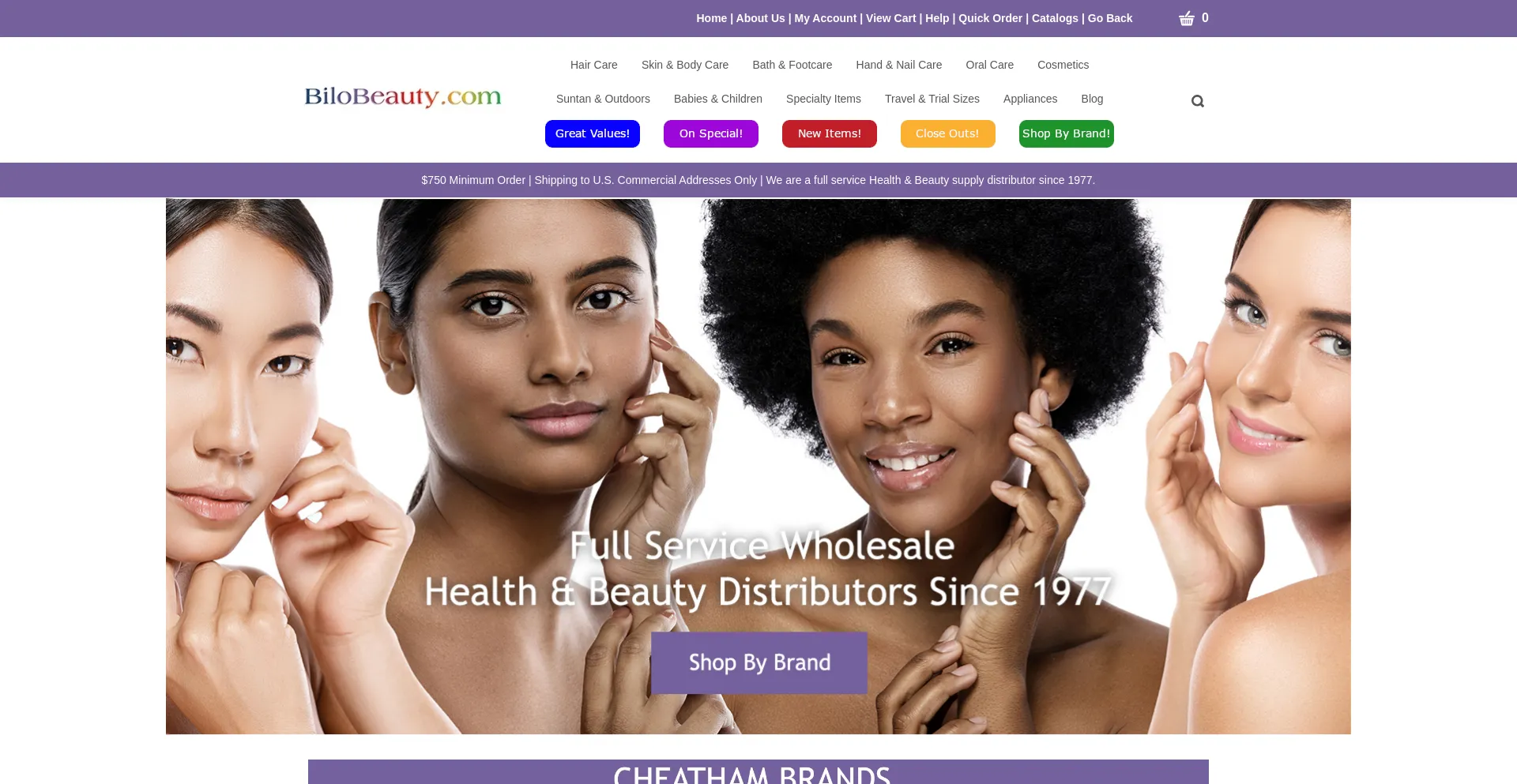 Website screenshot of Biloltd.net