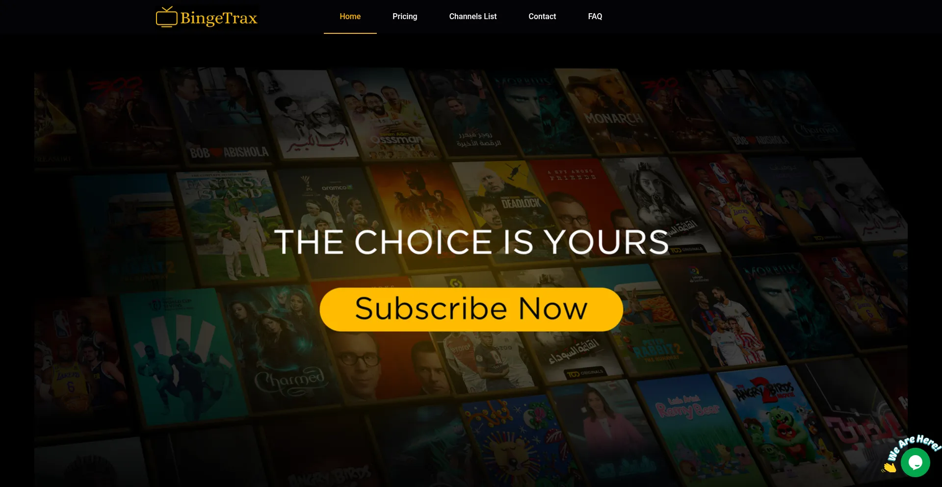 Website screenshot of Bingetrax.com
