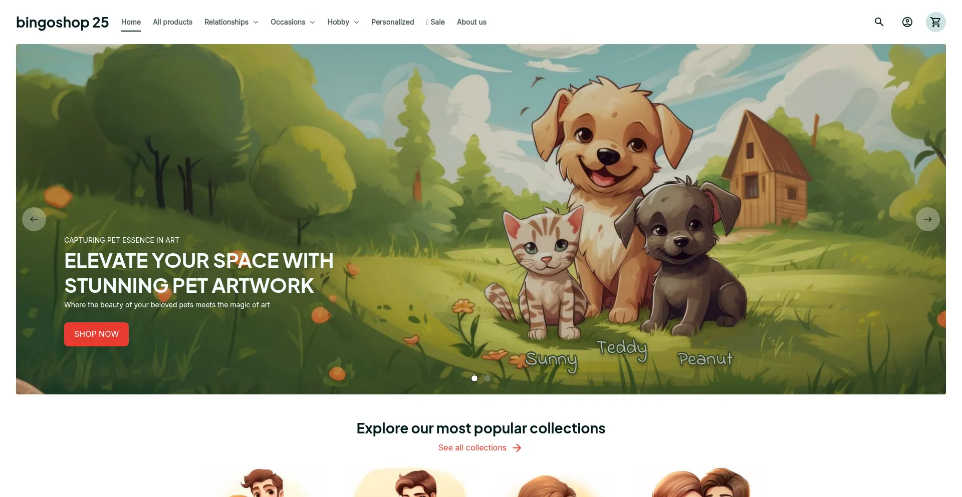 Website screenshot of Bingoshop24.com