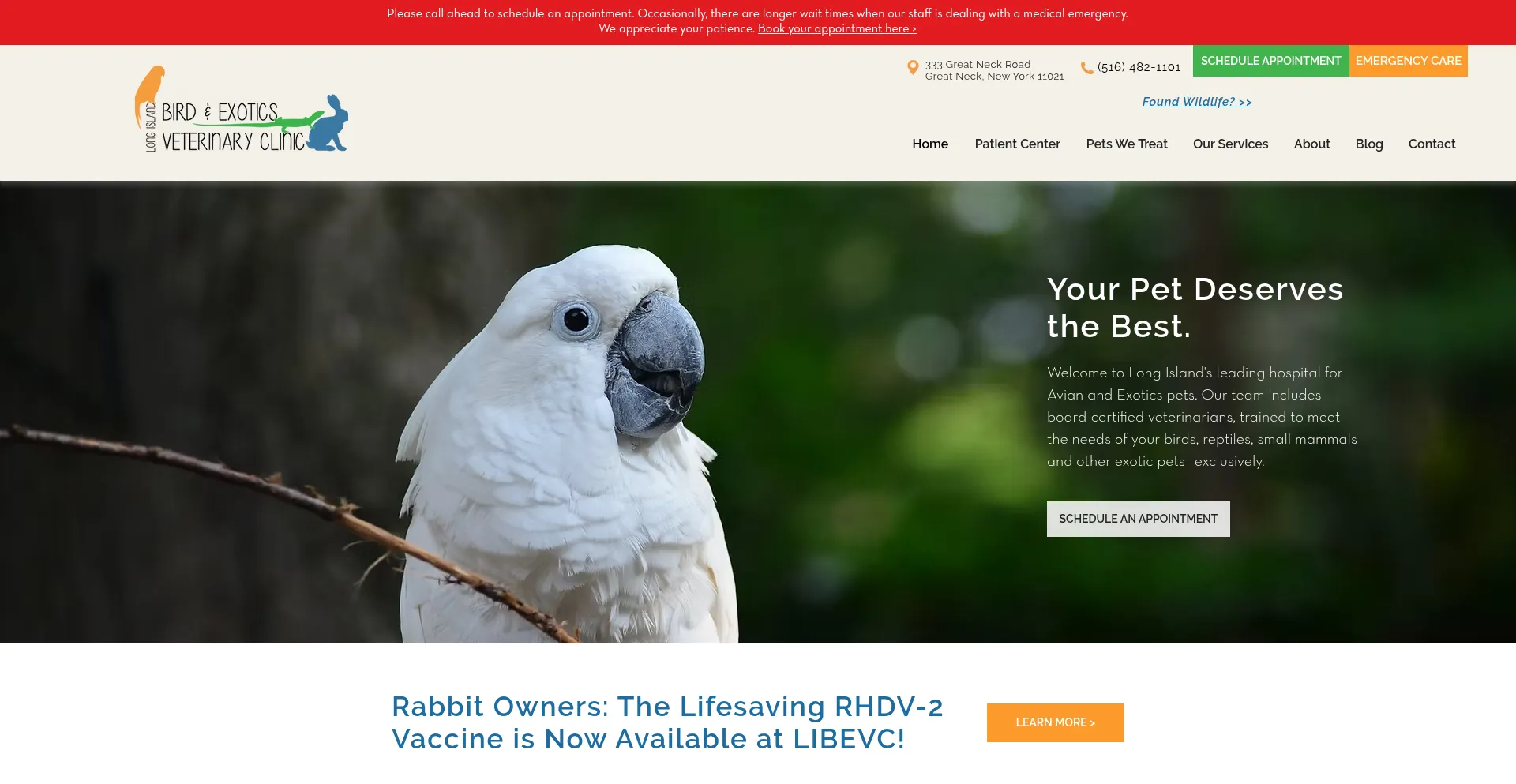 Birdexoticsvet.com