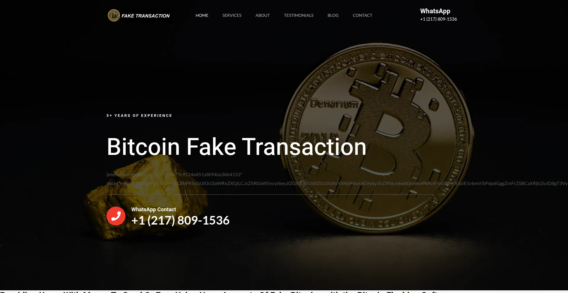 Bitcoinfaketransaction.com