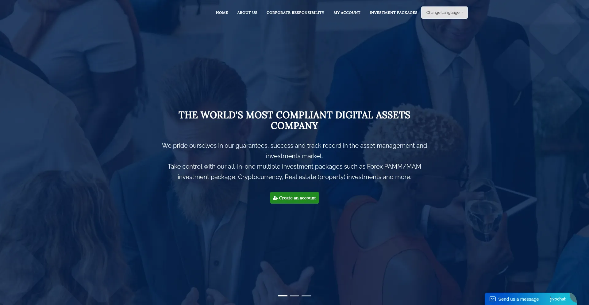 Bizassetsstrategy.com