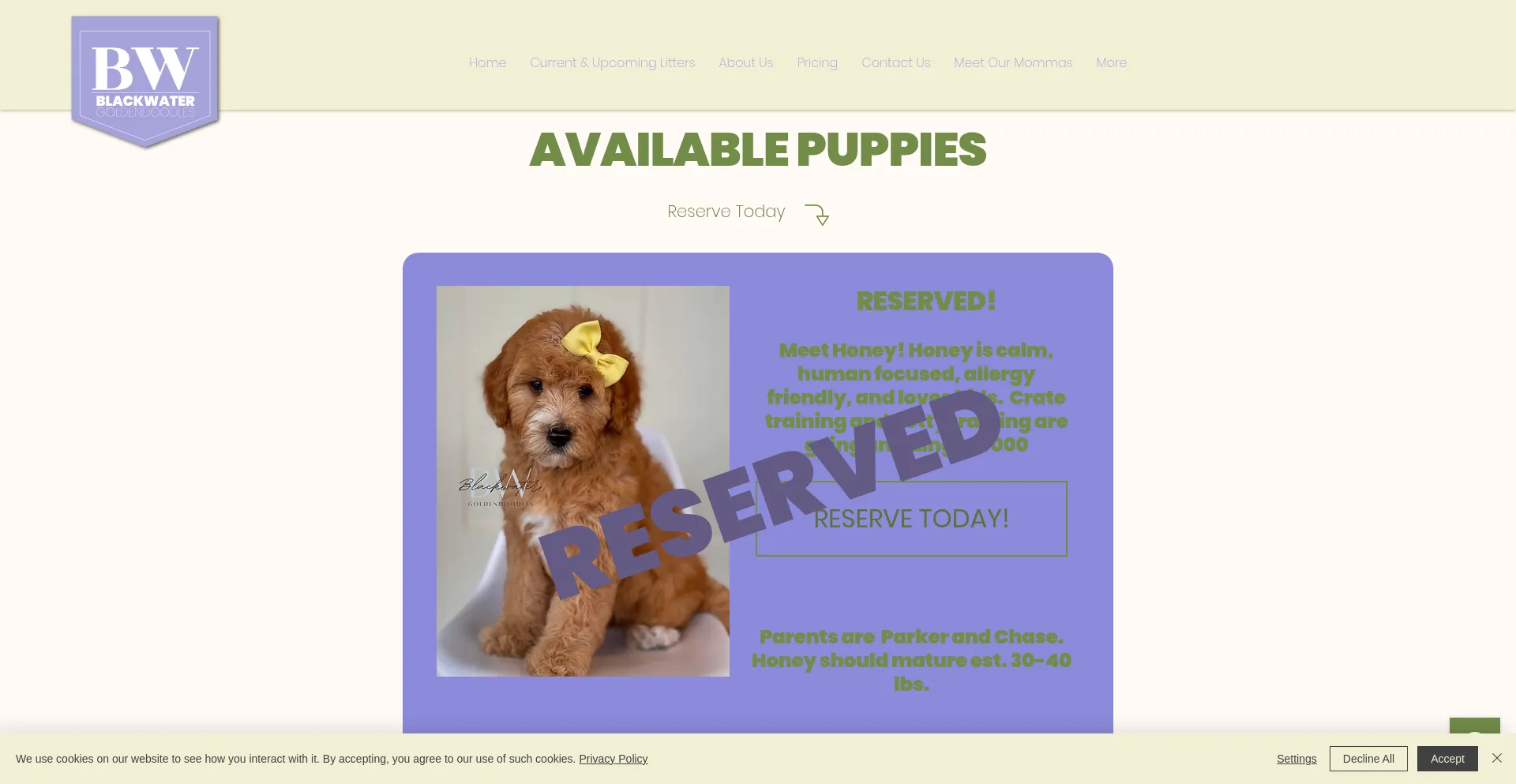 Website screenshot of Blackwaterdoodles.com