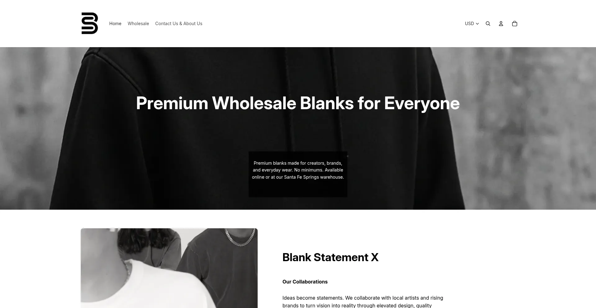 Blankstatementx.com