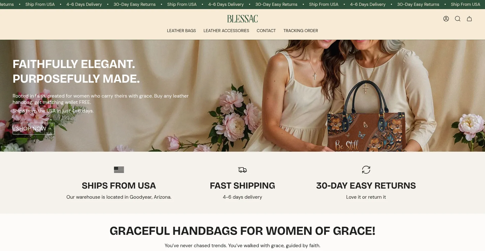 Website screenshot of Blessac.com