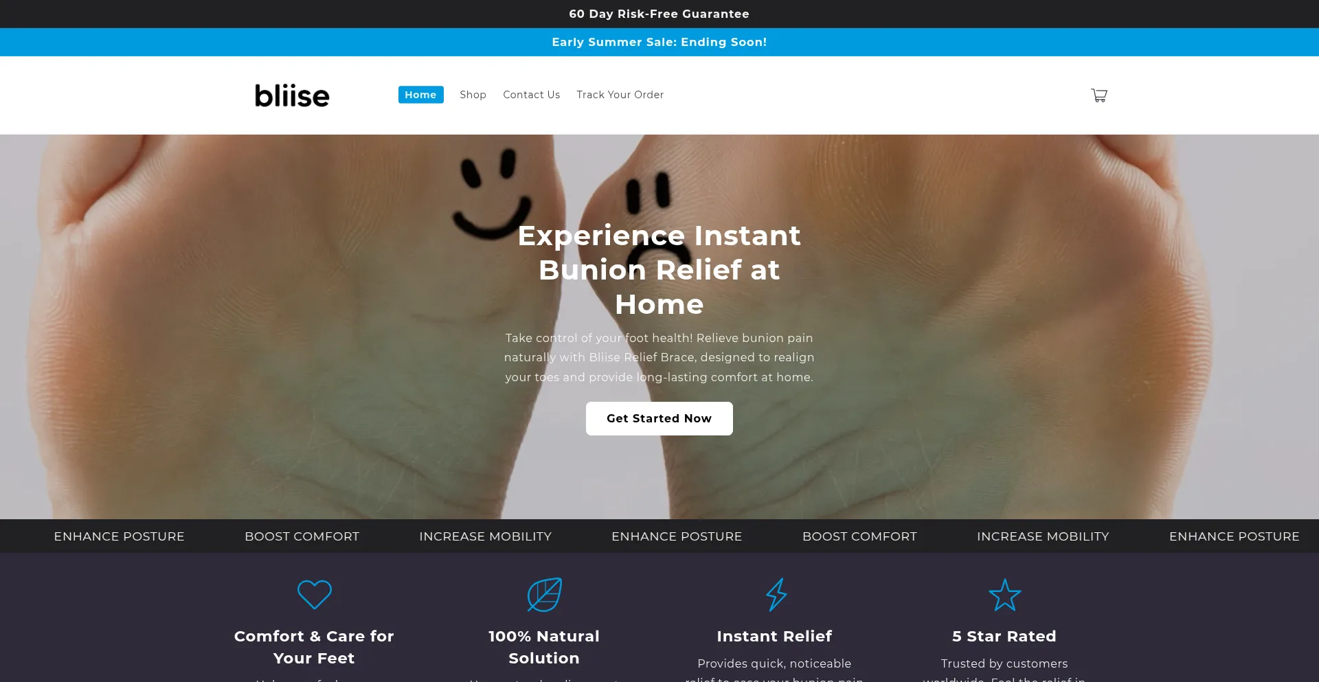 Website screenshot of Bliise.com