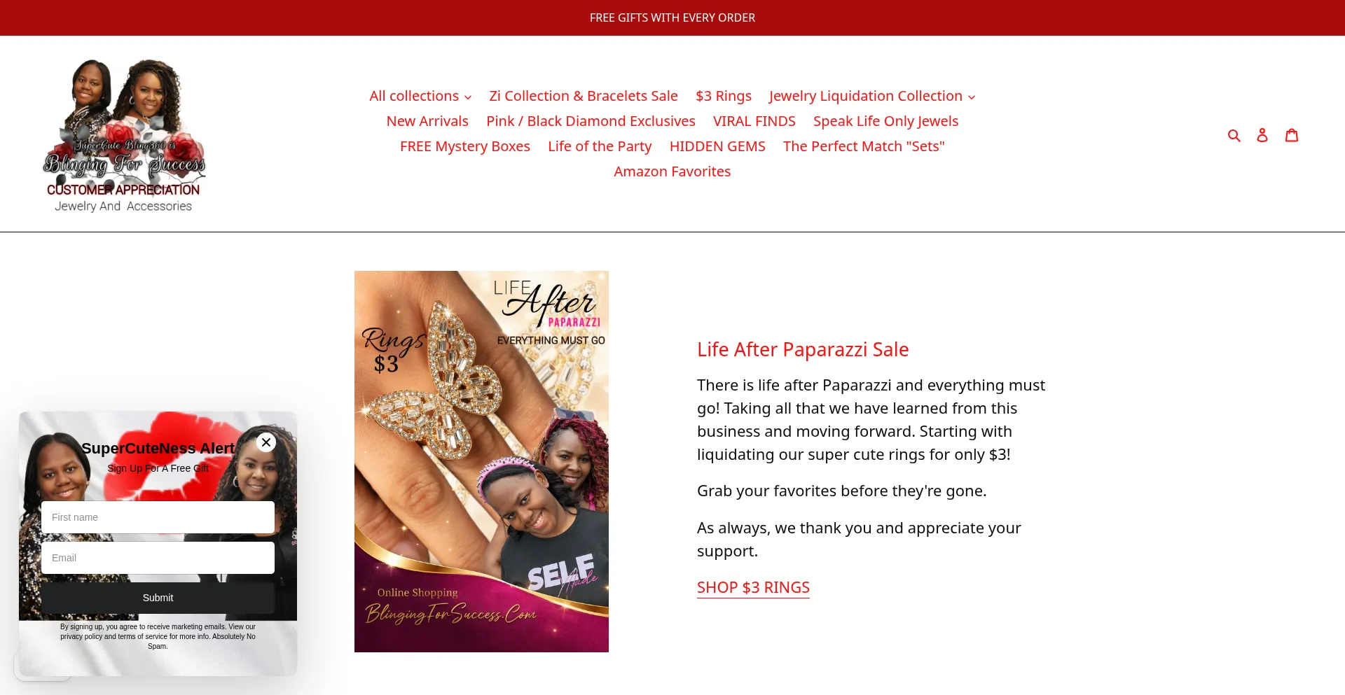 Blingingforsuccess.com