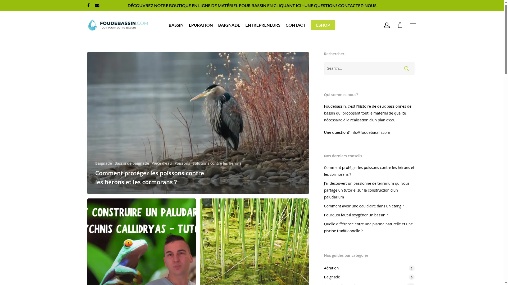 Blog.foudebassin.com