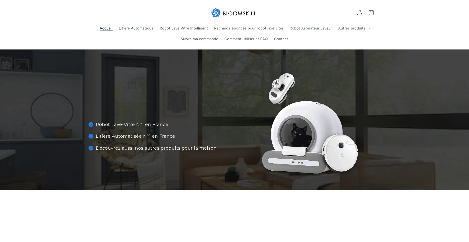 Bloomskinfrance.com