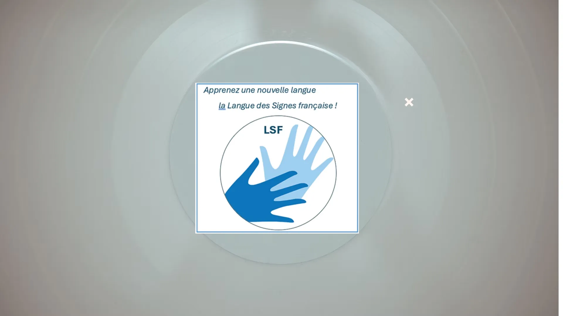 Blsgroup.net