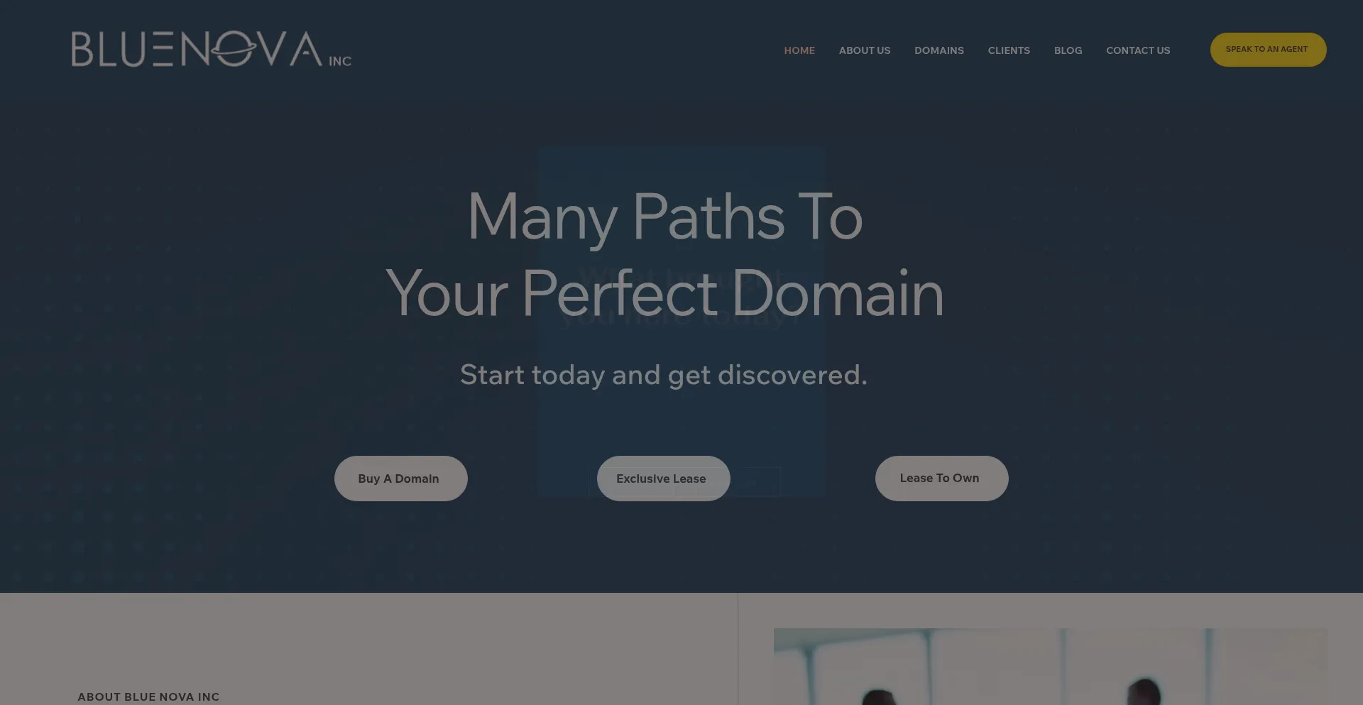 Website screenshot of Bluenova.com