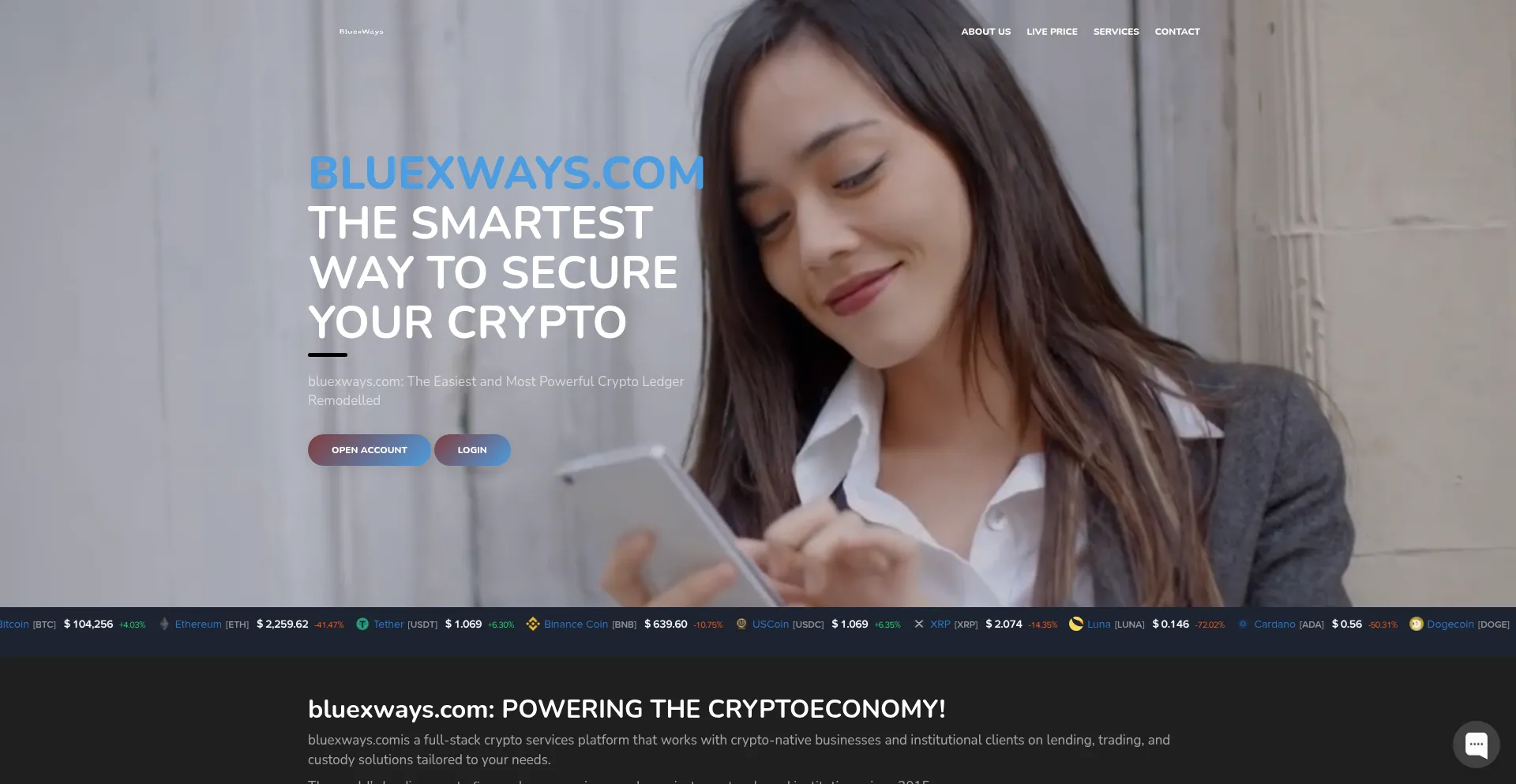 Website screenshot of Bluexways.com