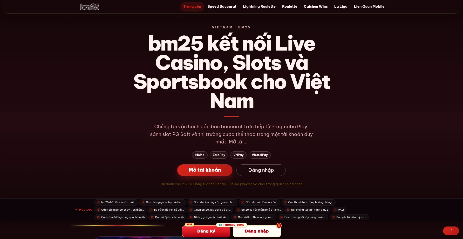 Bm25.org