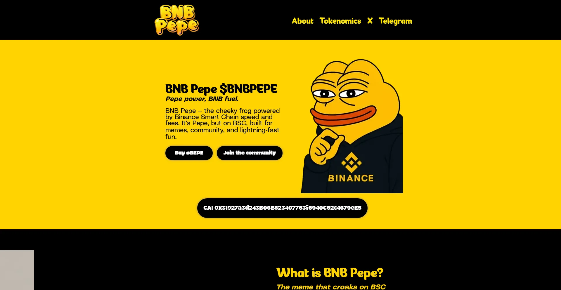 Bnb-pepe.com