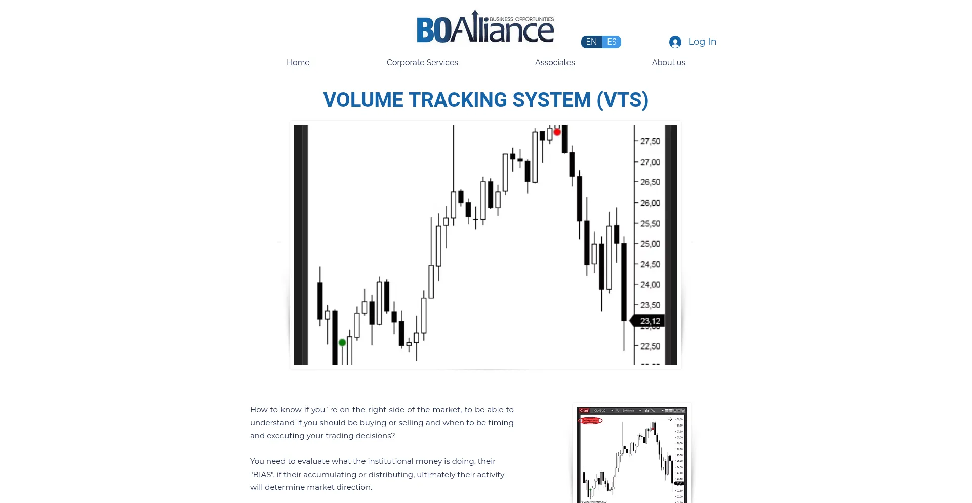 Website screenshot of Boalliance.com