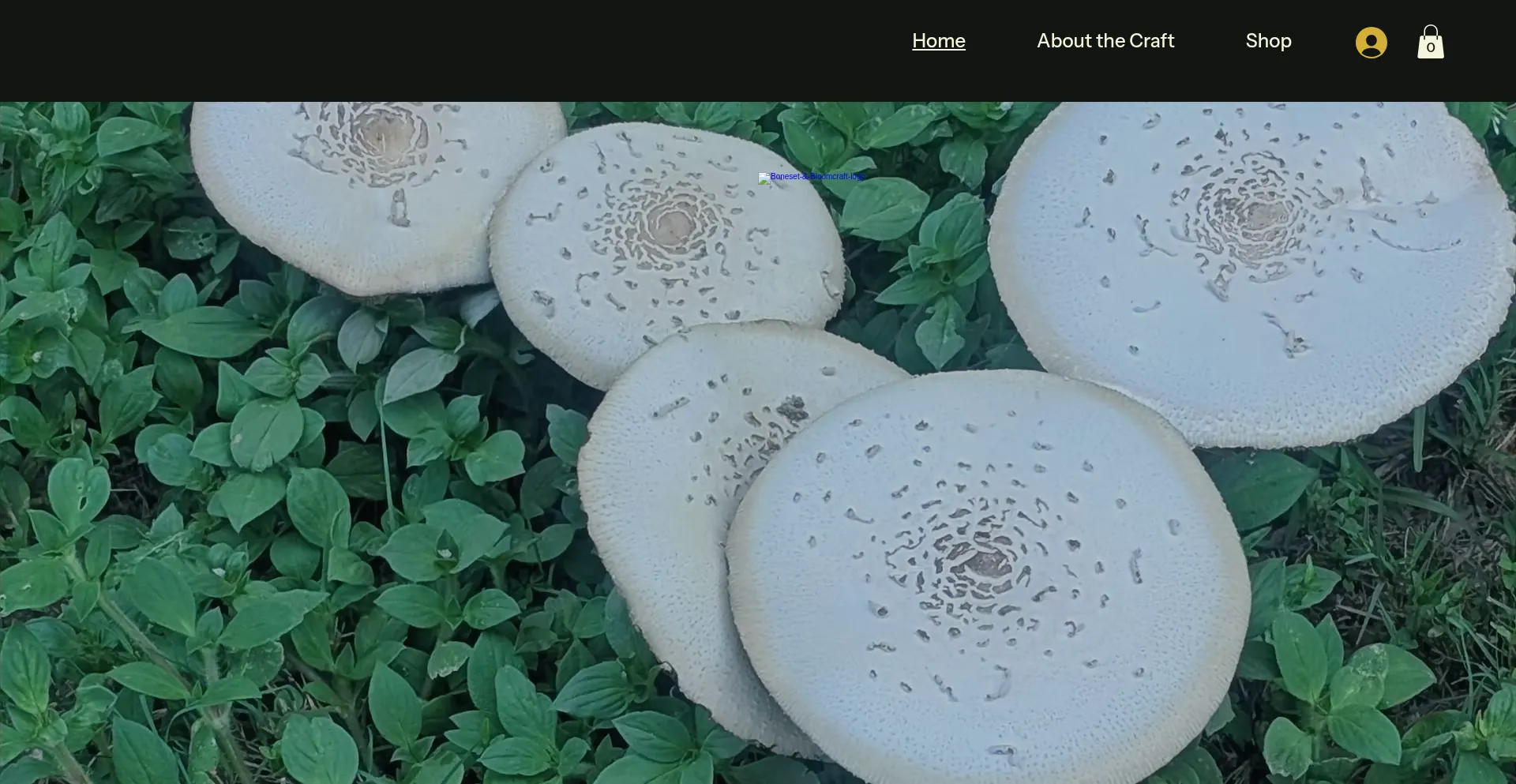Bonesetandbloomcraft.com