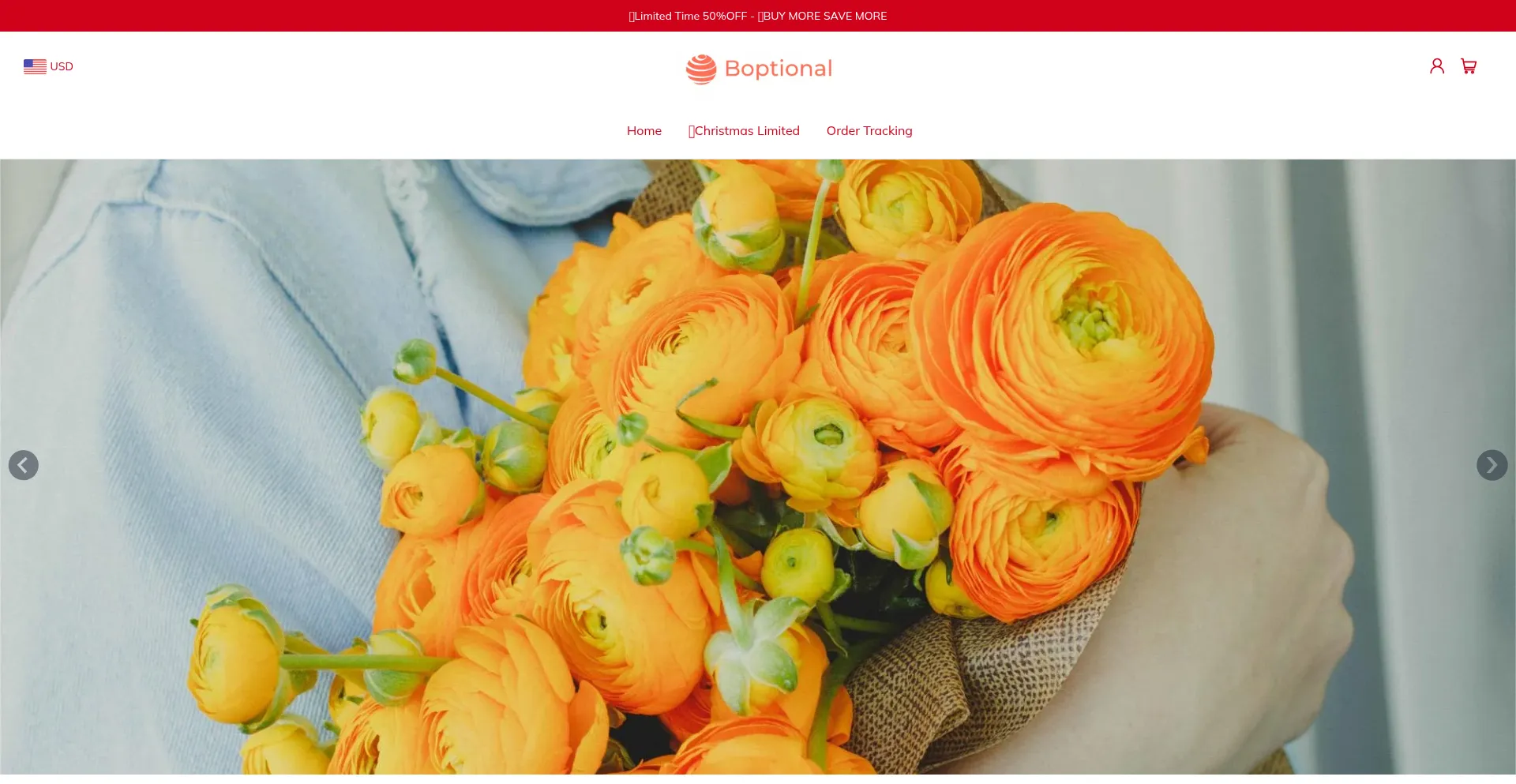 Website screenshot of Boptional.com