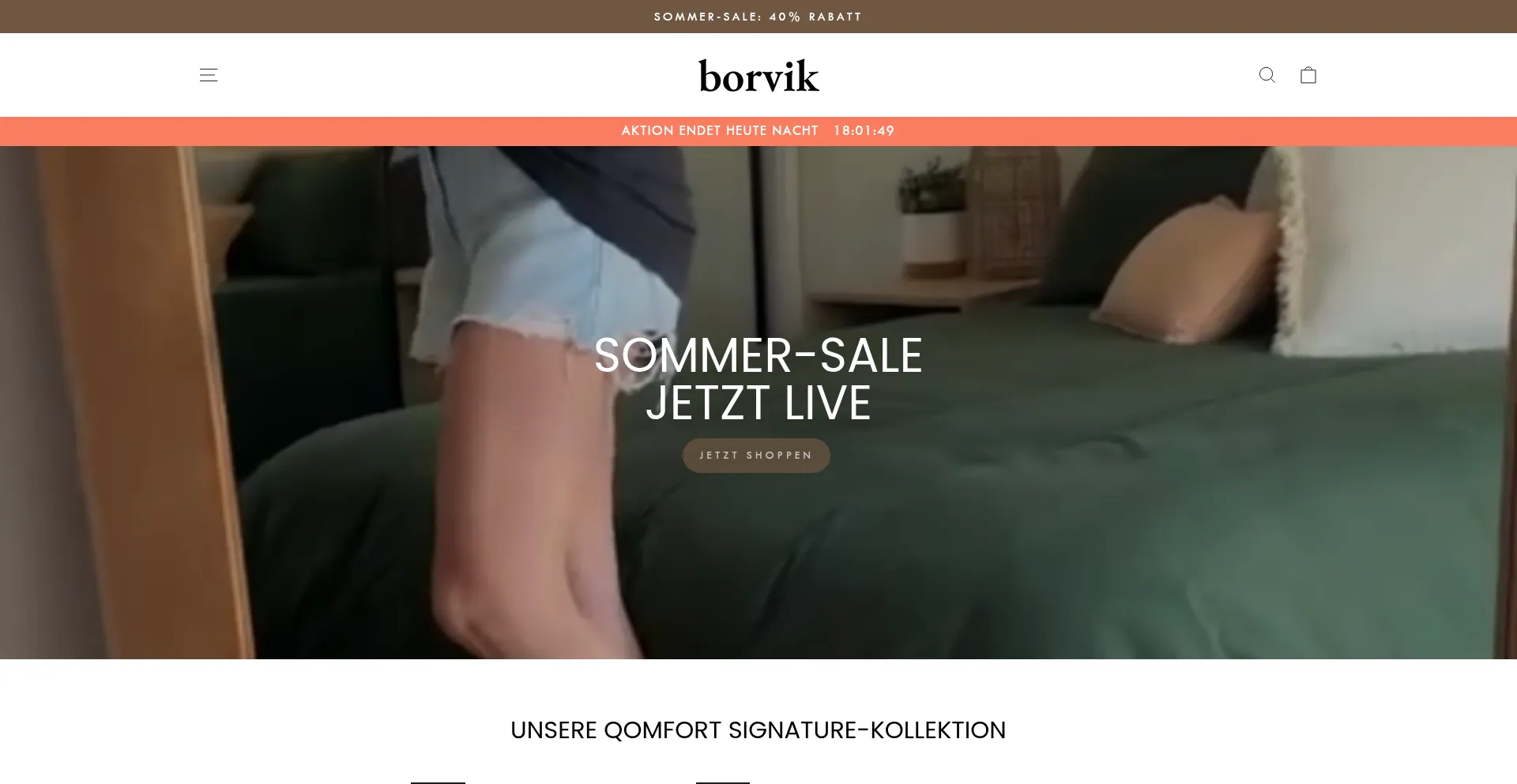 Website screenshot of Borvik.de