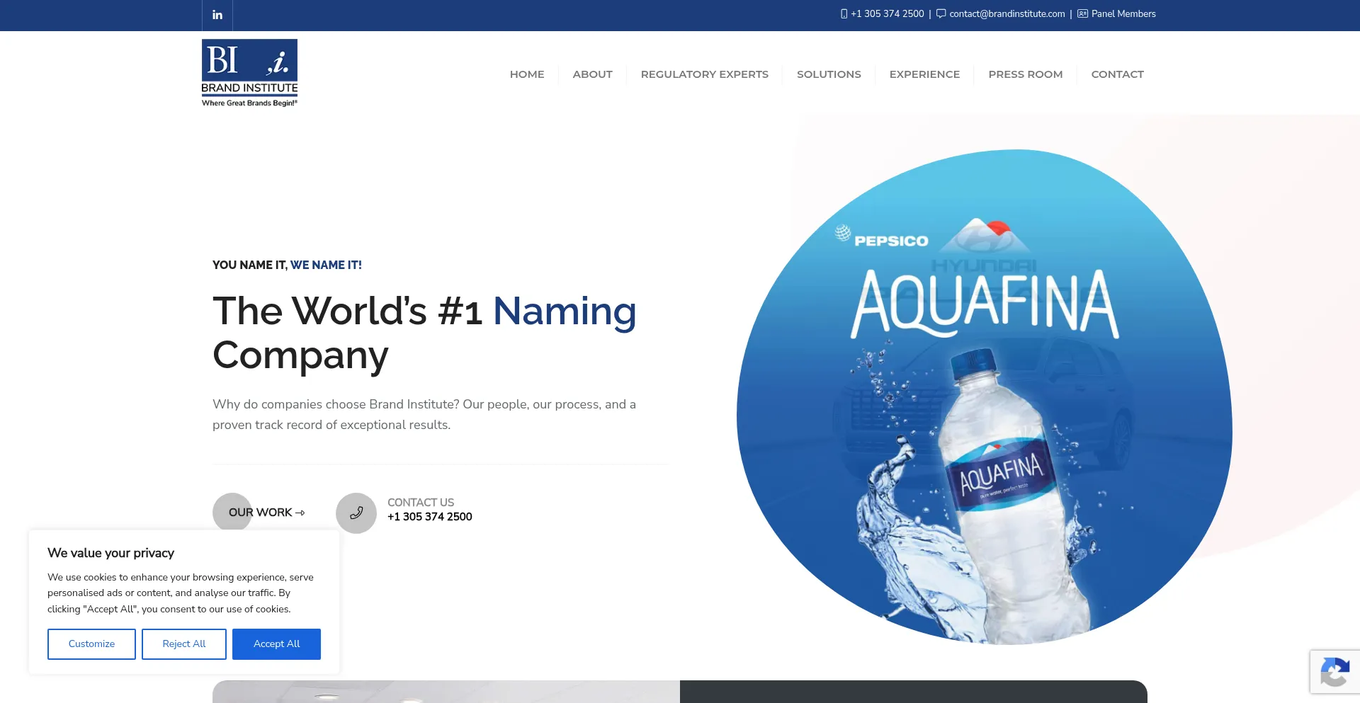 Brandinstitute.com